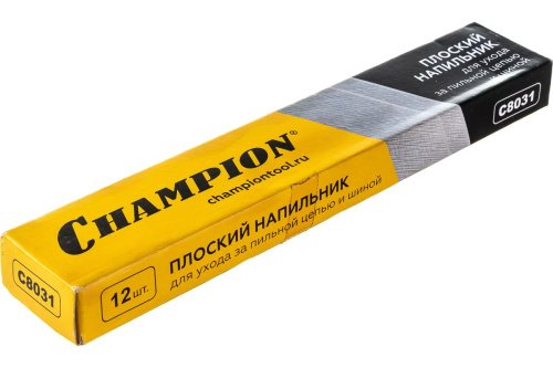 champion-napilnik-ploskiy-overview-photo2.jpg