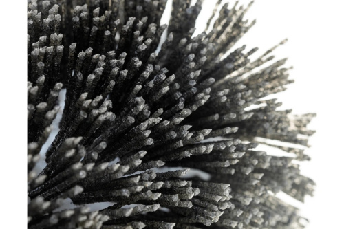 shchetka-neylonovaya-crown-caq-n1101460-macro