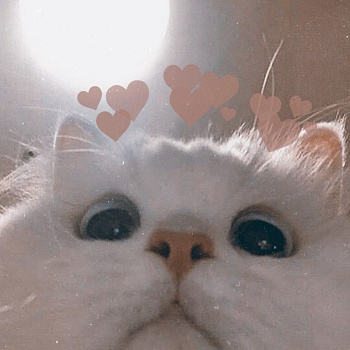 Цепь 3/8-1,3 52 звена BRAIT футляр